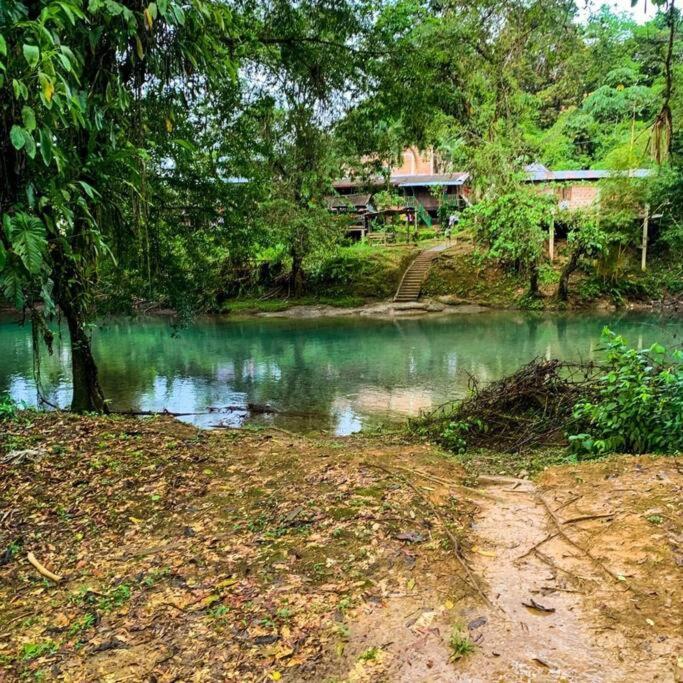 Mama Yeya Raices Guest House San Cipriano Exterior foto