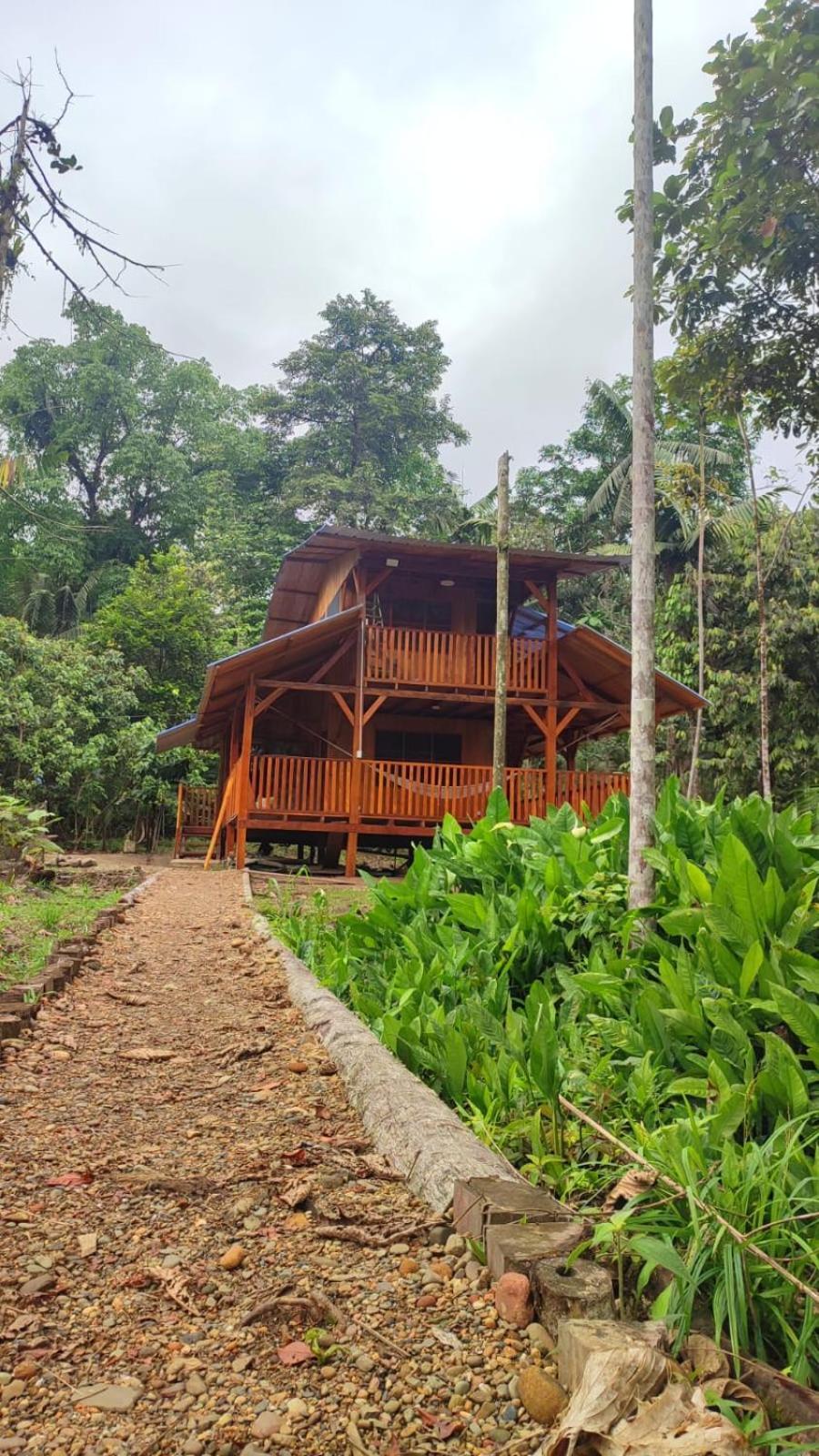 Mama Yeya Raices Guest House San Cipriano Exterior foto
